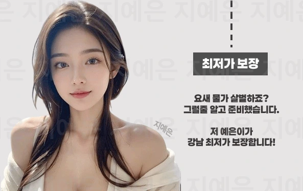 언주 풀싸롱 | 언주 룸싸롱 시스템 이미지